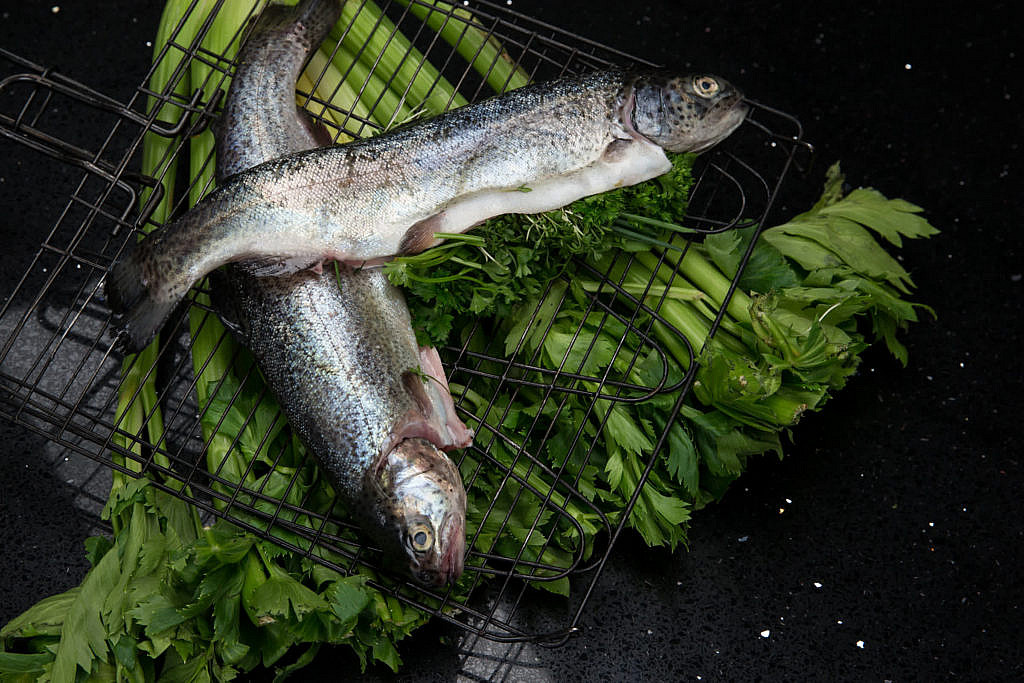 Food photography fish photo food photos Jens Braune del Angel